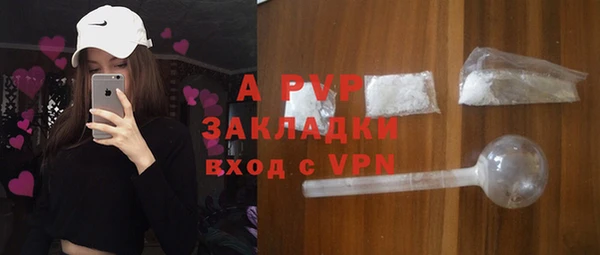 прущие грибы Абинск