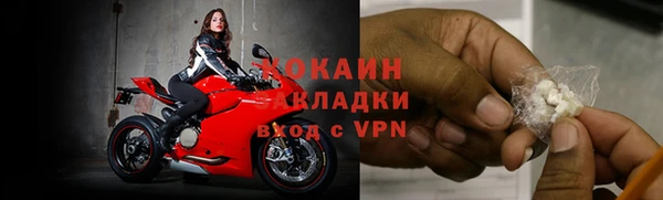 прущие грибы Абинск
