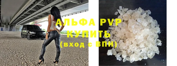 прущие грибы Абинск