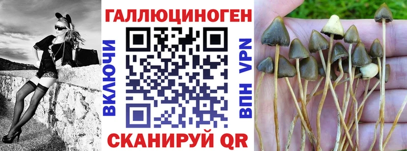 Галлюциногенные грибы Cubensis  купить наркотики цена  Абдулино 